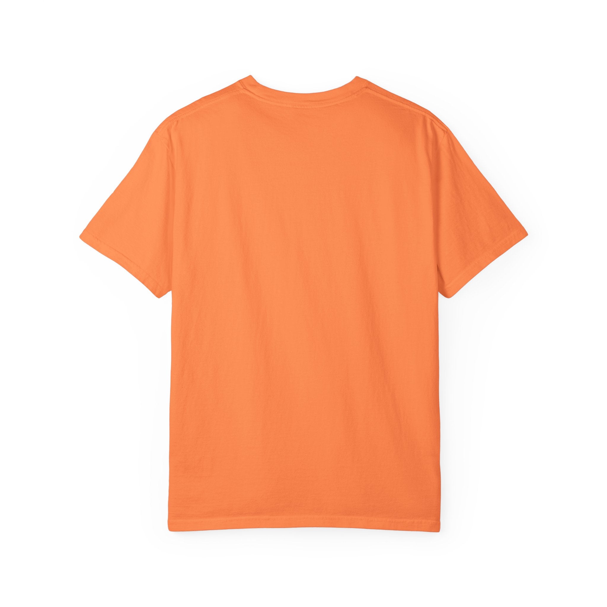 Garment-Dyed Unisex T-Shirt, Casual Tee, Everyday Wear, Summer Vibes, Gift for Friends, Men’s and Women’s Fashion